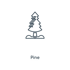 pine icon vector