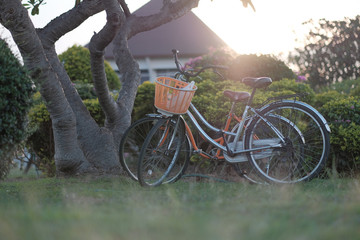 Fototapeta na wymiar vintage bicycle in nature