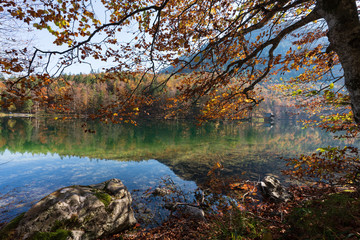 Obraz premium Langbathsee mit bunten Laubbäumen und Herbstblättern, an einem wunderschönen Herbsttag