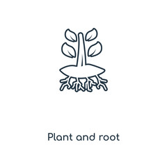 plant and root icon vector