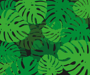 Tropical palm leaves, jungle leaf seamless vector floral pattern background