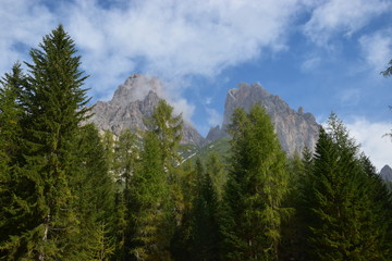 Obraz premium Dolomiti - monte Cristallo