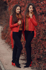 Women autumn clothes set. Two Young beautiful brunette twins in warm woolen knitted sweater and leather jacket clothes posing over red leaves park.  Sisters in casual street look.