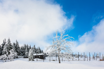 Winter im Riesengebirge bei Spindlermühle, Tschechien