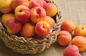 Fresh Apricot in the basket  with water drop on wooden background.
The Wachau apricot The Danube in Lower Austria (German name is Wachauer Marille)