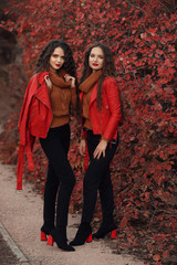 Women autumn clothes set. Two Young beautiful brunette twins in warm woolen knitted sweater and leather jacket clothes posing over red leaves park.  Sisters in casual street look.