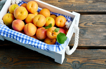 Fresh Apricot with leaf in the white box on wooden background.
The Wachau apricot The Danube in Lower Austria (German name is Wachauer Marille)