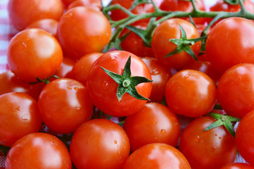 tomatoes with water drop full frame