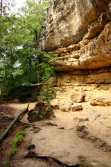 Obraz premium Yellow rocks in Bohemia in czech