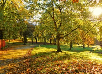 A Colourful Autumn Landscape.