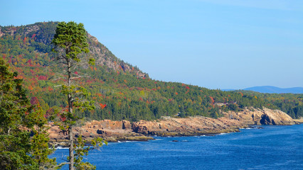 AERIAL: Flying towards the empty rocky coast filled with trees changing colors.