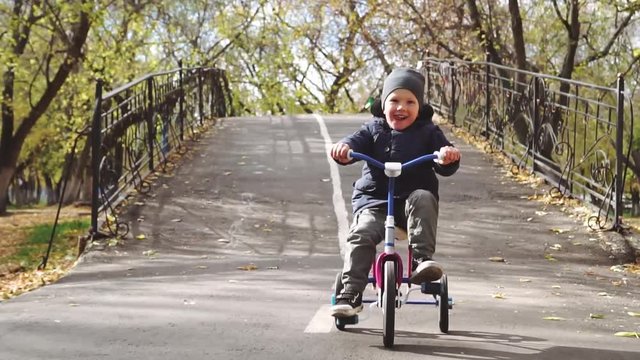 Joyful little boy riding a bike (tricycle)