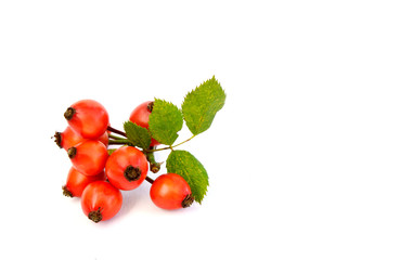 Amazing Health Benefits Of Rose Hips.
Rose hips with leaf on white background.