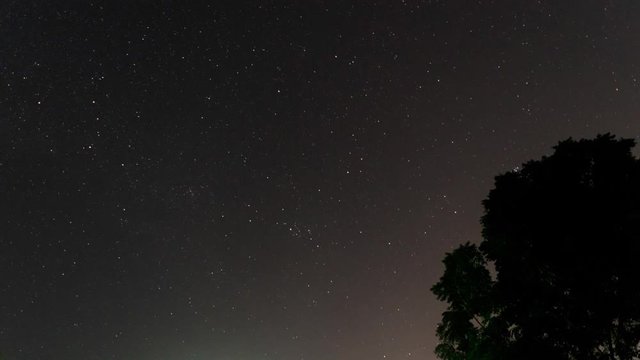 time lapse stars and tree, in front of fog and dew