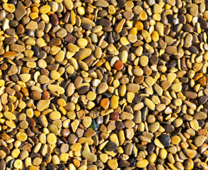 Small yellow stones on the road surface as background