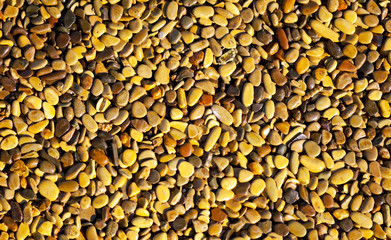 Small yellow stones on the road surface as background