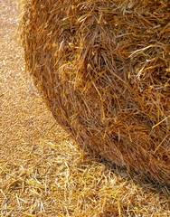 Dry hay on nature as an abstract background