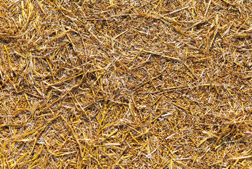 Dry hay on nature as an abstract background