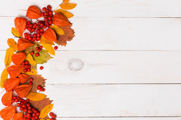 Beautiful autumn background for text