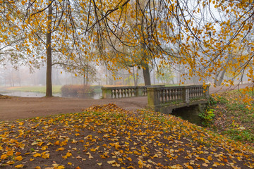 Bridge, fog, autumn. Aleksandvsky Park in Pushkin, St. Petersburg,