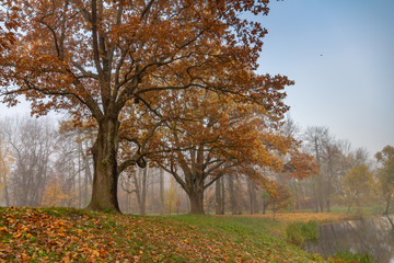 Autumn. Aleksandvsky Park in Pushkin, St. Petersburg,