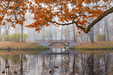 Bridge, fog, autumn. Aleksandvsky Park in Pushkin, St. Petersburg,