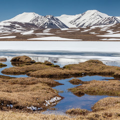 Barskoon (Arabel) Syrts at Issyk Kul Region