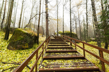 The stairs in the Stolby Nature Reserve in the autumn in Krasnoyarsk.