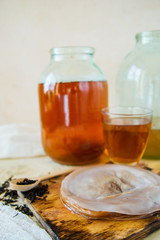 Tea mushroom, Kombucha close-up, macro.