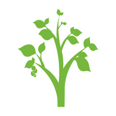 ecology leafs plant icon