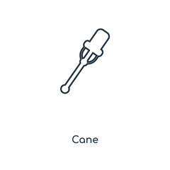cane icon vector