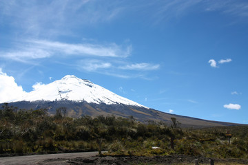 Obraz premium The Cotopaxi volcano in Ecuador. the top is covered by snow, summit at almost 6.000m