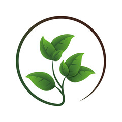 ecology leafs plant icon