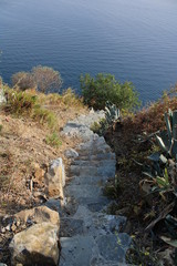 Sentiero con scalinata in pietra verso il mare