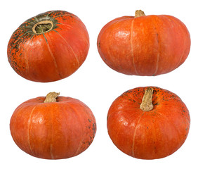 Fresh pumpkin isolated on white background with clipping path