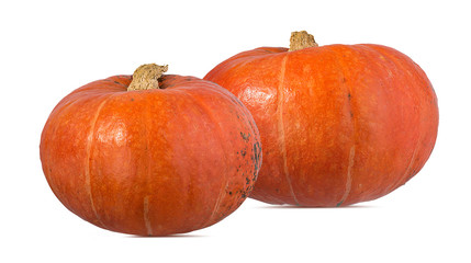 Fresh pumpkin isolated on white background with clipping path