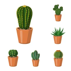 Badkamer foto achterwand Cactus in pot Vectorillustratie van cactus en pot-logo. Set van cactus en cactussen aandelensymbool voor web.