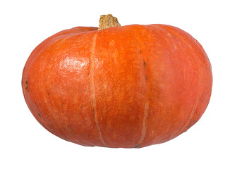 Fresh pumpkin isolated on white background with clipping path