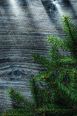 Green pine tree branches on wooden board