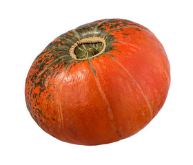 Fresh pumpkin isolated on white background with clipping path