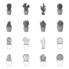 Vector design of cactus and pot sign. Set of cactus and cacti stock symbol for web.