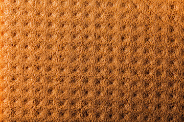 New orange kitchen dishcloth backdrop