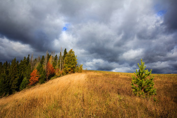 Autumn landscape with the road through the field and woods.