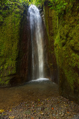 Waterfall in a forest. Costa Rica