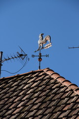 Wetterhahn