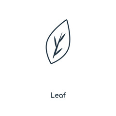 leaf icon vector