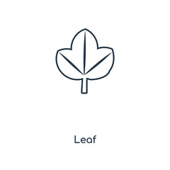 leaf icon vector