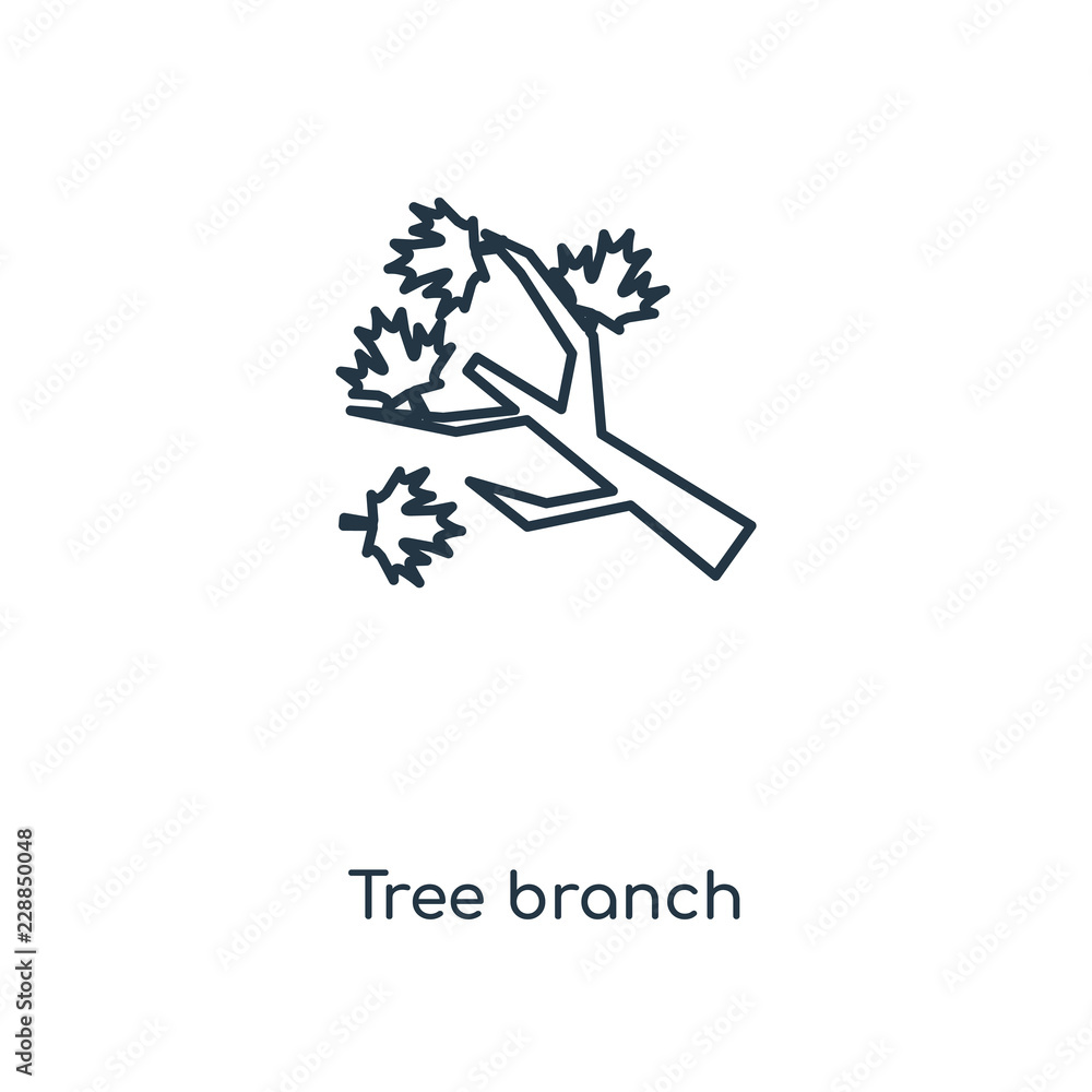 Poster tree branch icon vector