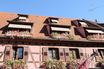 Fototapeta na wymiar historische Altstadt von Ribeauvillé-Riquewihr im Elsass 15
