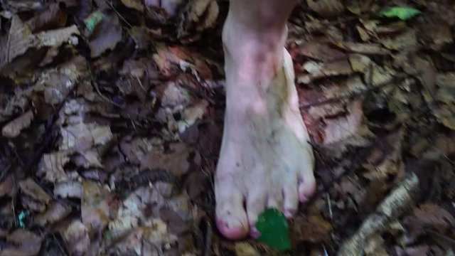 Scary close-up of dirty feet running in the forest.